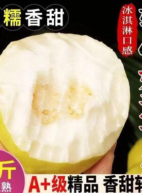 黄金奶油软糯芭乐正宗台湾水果