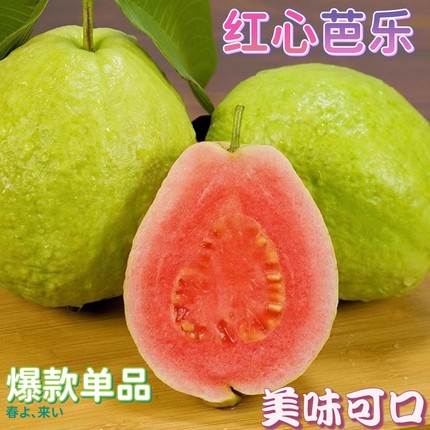 广东精品红心芭乐番石榴低糖美味新鲜四季果孕妇网红热款奶茶水果
