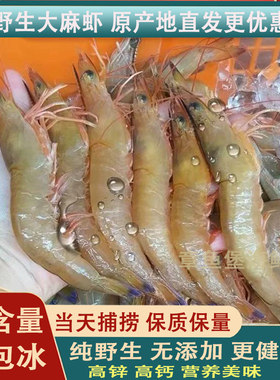 纯天然野生沙卢虾麻虾无添加