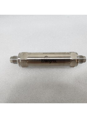 Entegris 气体过滤器 / WG2F02R2