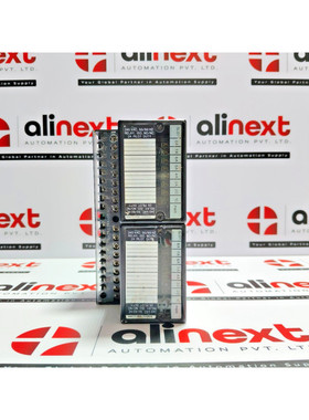 2 件 GE Fanuc IC670MDL930CAK 现场控制系统 带 IC670CHS001CAG