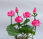 荷叶鱼缸水池塑料荷花摆件 仿真荷花装 饰 睡莲花道具假荷花供佛