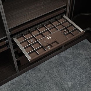 悍高BV2.0衣柜衣帽间首饰盒多功能衣物收纳内衣深浅皮篮裤架拉篮