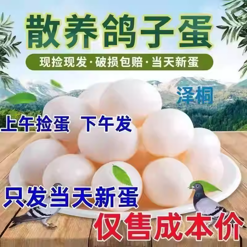 鸽子蛋新鲜初生蛋农家五谷杂粮散养孕妇宝宝营养送礼佳品,水产肉类/新鲜蔬果/熟食,鸽蛋,淘宝优惠券,粉丝福利购,淘宝优惠卷