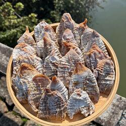 2025武夷山笋干福建农家自制嫩笋尖干货日晒无盐头茬笋干250克