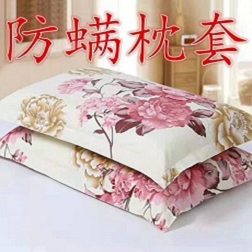 枕套一对加大枕套成人枕芯套