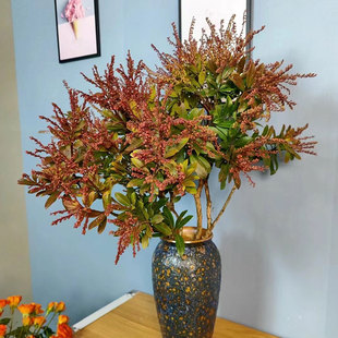 山里红鲜花山里白鲜切枝室内水培植物家用插花马醉木鲜花云南直发