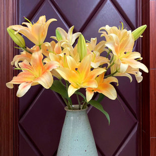 一见钟情香水百合花鲜花室内水培植物家用插花云南基地直发顺丰