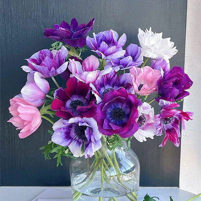 银莲花鲜花室内水培家用插花花艺