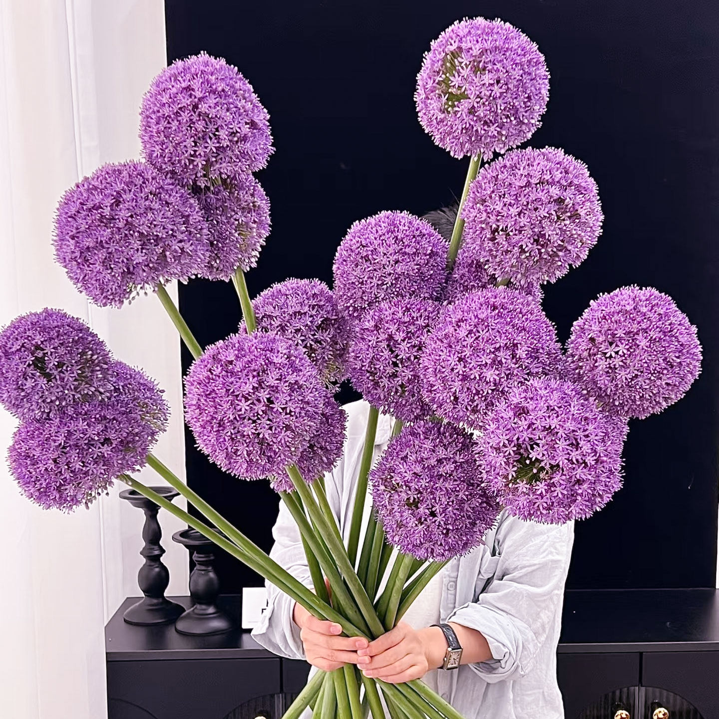 荷兰进口大花葱鲜花室内水培植物家用插花云南直发紫色大葱花顺丰