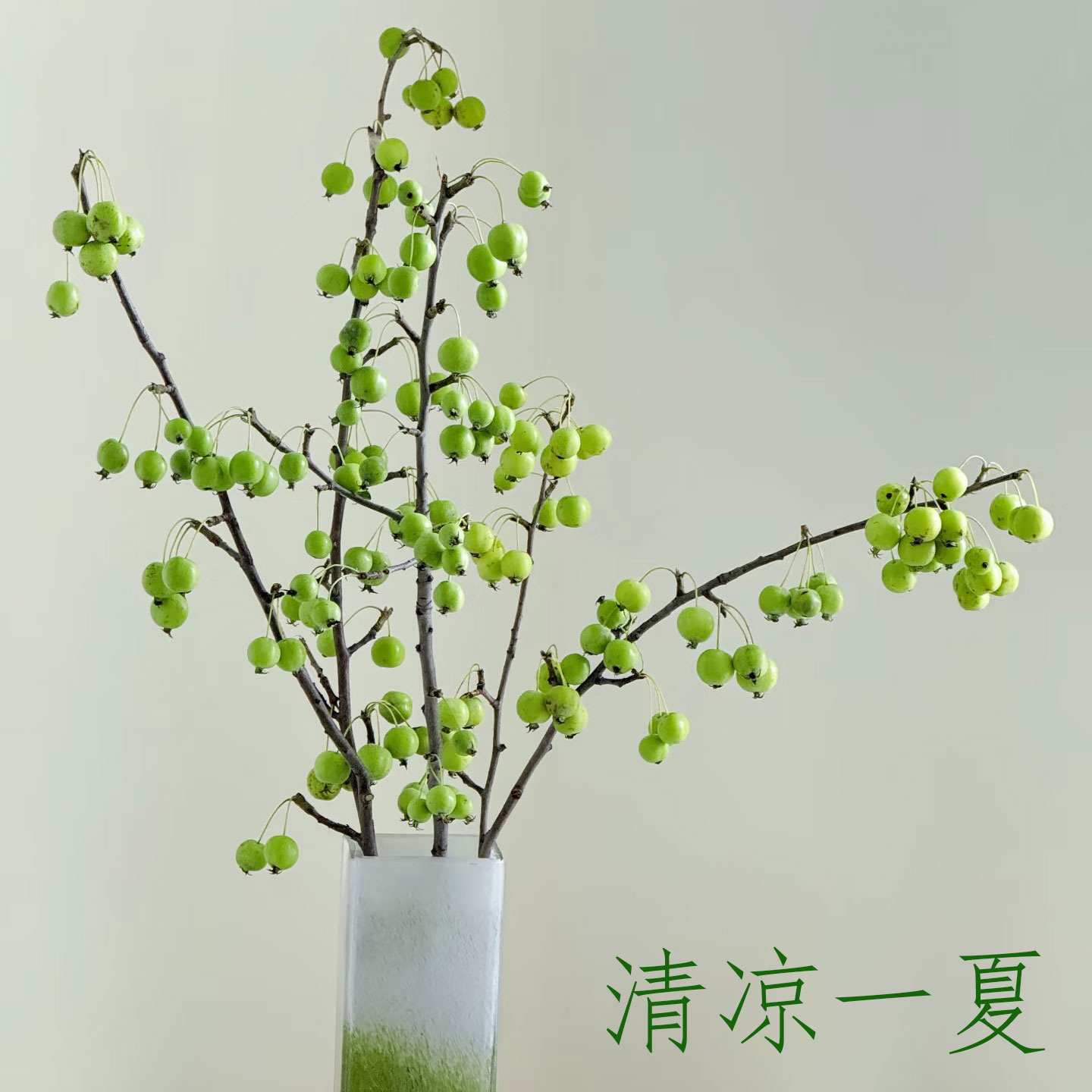 绿色小苹果鲜切枝水培果材插花