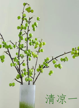 绿色小苹果鲜切枝水培果材插花