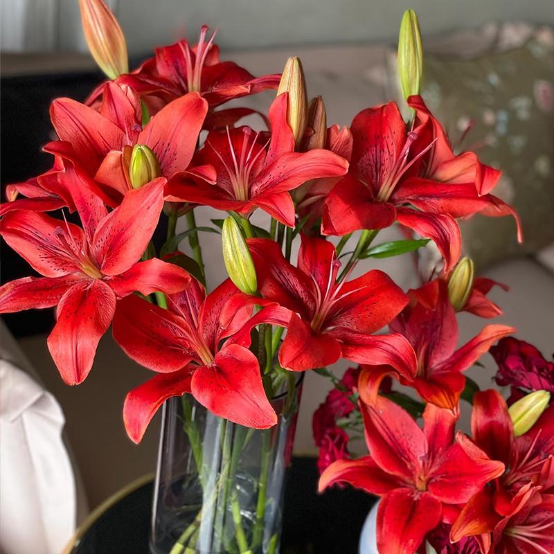 红宝石亚百合鲜花花束云南直发
