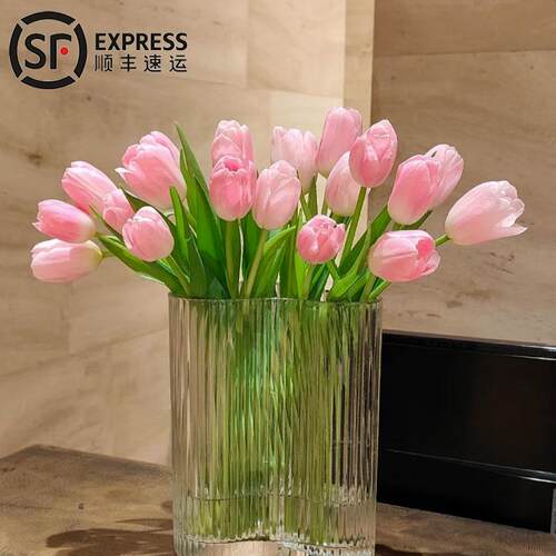 郁金香鲜花水培花卉插花室内云南