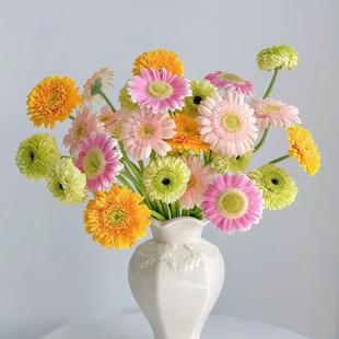 弗朗花鲜花非洲菊扶郎花小菊南基地直发家用插花水培花卉花期长