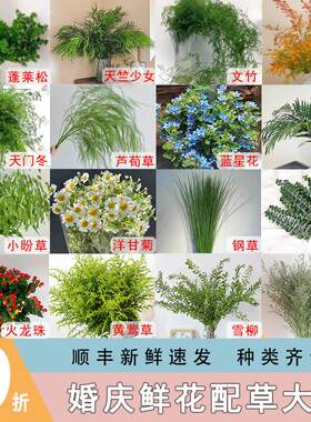 鲜花配草婚庆布置花材云南直发