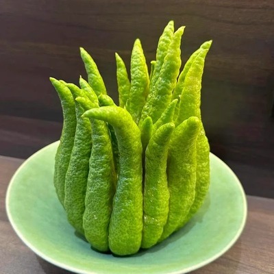 佛手柑鲜果水培带枝鲜花云南直发鲜切枝佛手干插花水养摆件佛手果