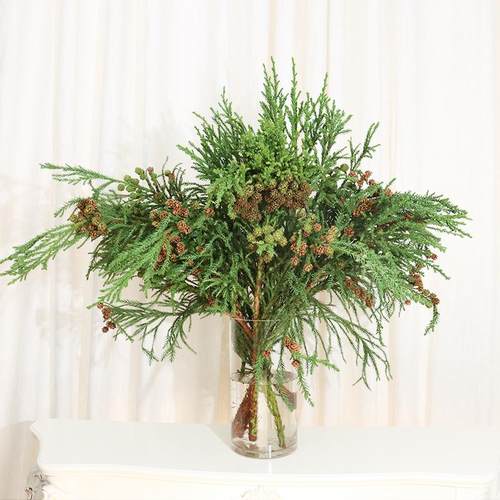 天竺少女果鲜切枝鲜花圣诞节装饰