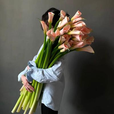 火烈鸟马蹄莲鲜花花艺婚礼手捧花