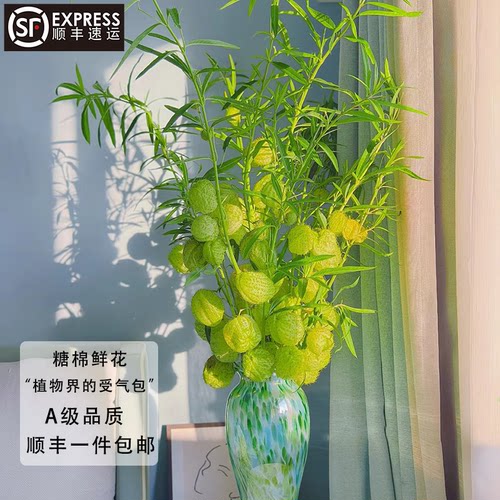 糖棉鲜花气球果水培植物家用插花