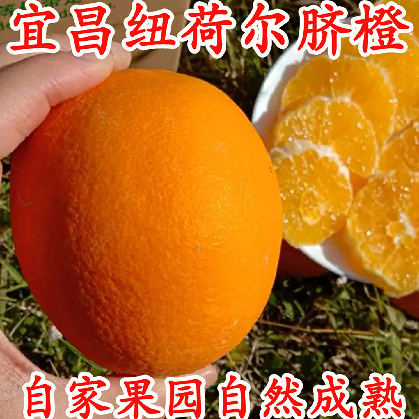 橙子新鲜10斤大果榨汁专用手剥橙孕妇水果现摘纽荷尔脐橙当季整箱,水产肉类/新鲜蔬果/熟食,橙,淘宝优惠券,粉丝福利购,淘宝优惠卷