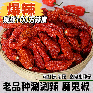 新货1斤云南涮涮辣爆辣印度魔鬼椒变态辣魔鬼辣椒巨辣死神调味料