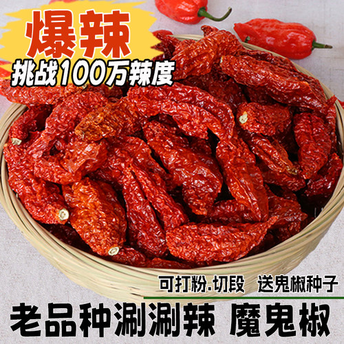 正宗爆辣云南涮涮辣巨辣印度魔鬼椒变态辣魔鬼涮涮辣死神调料1斤