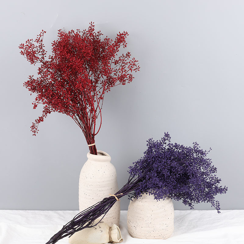 天然风干永生花小米果干花真花枝花束花艺家居ins装饰手工diy材料