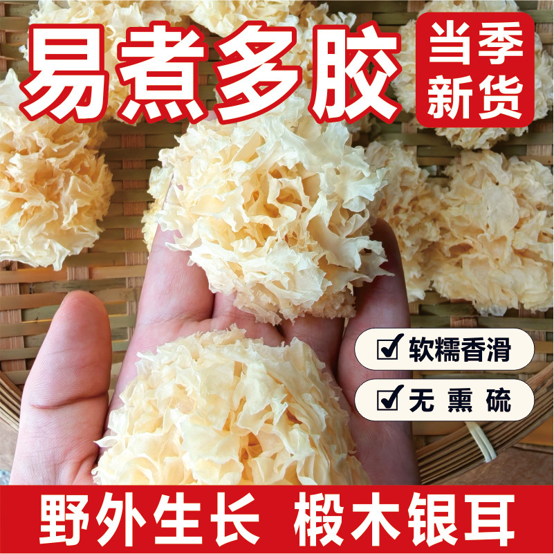 净重防野生椴木小银耳整朵500g包邮新货干货软糯无硫可现场装货