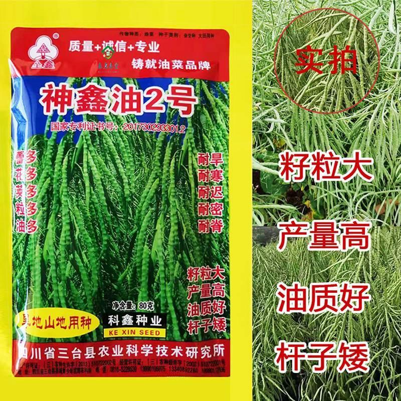 神鑫油2号杂交油菜种籽榨油用 油菜花种子新品种矮秆出油率高包邮