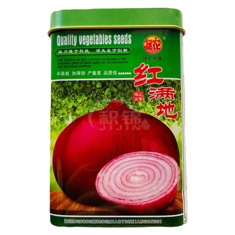 拯农满地红洋葱种子紫皮红皮半高桩圆葱头中早熟肉质白色蔬菜种籽
