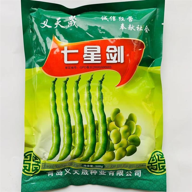义天晟七星剑蚕豆种子高产抗病大荚皮黄色蚕豆种籽农家春秋蔬菜种