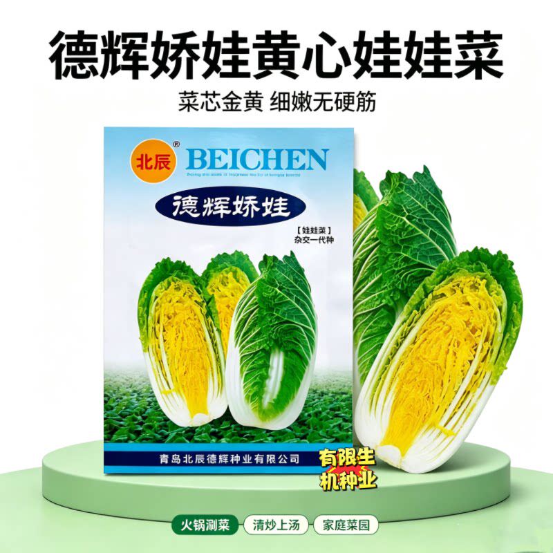 北辰德辉娇菜种子黄心小