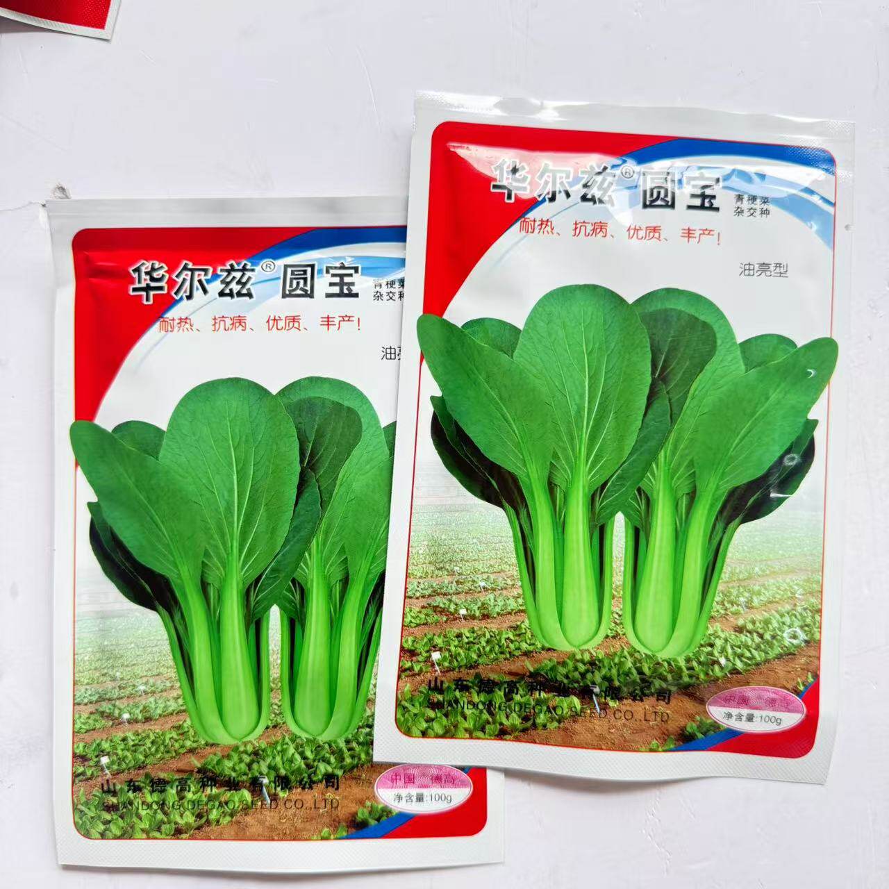 青梗菜种子华尔兹圆宝小