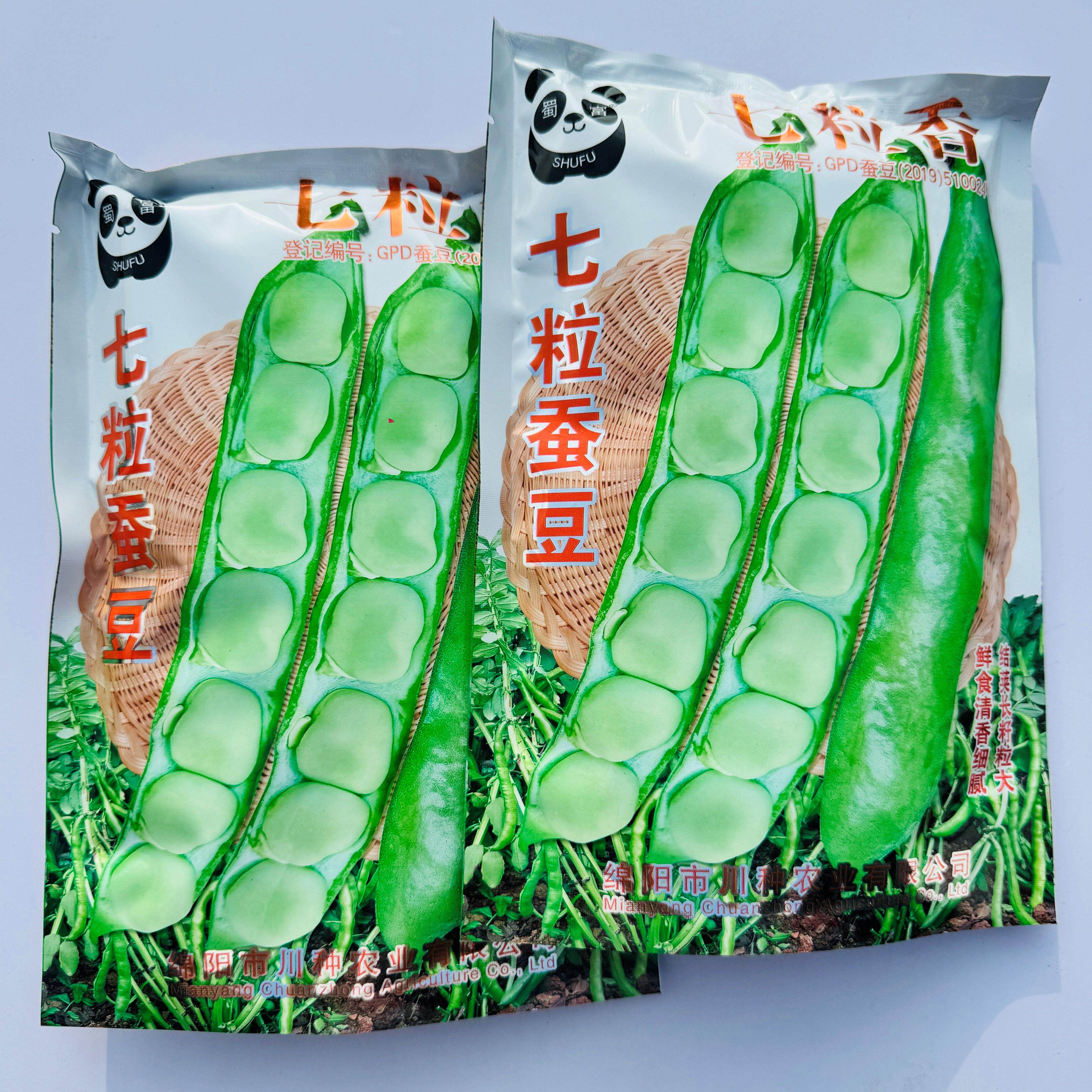 七粒香蚕豆种子农家秋播