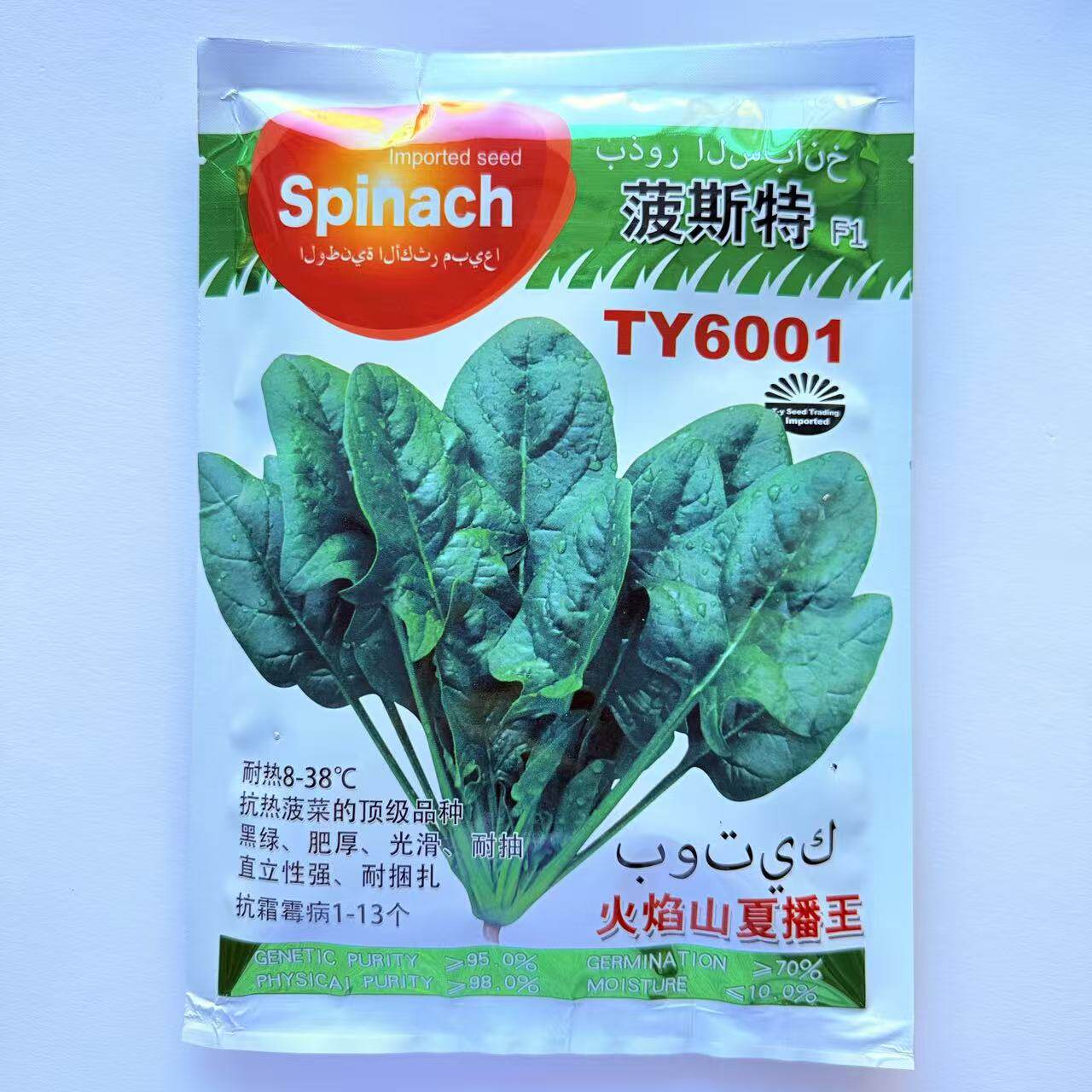 火焰山夏播王菠菜种子菠
