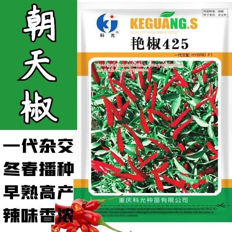 艳椒425辣椒种子科光牌辛辣中晚熟朝天椒单生抗病耐热抗倒伏包邮