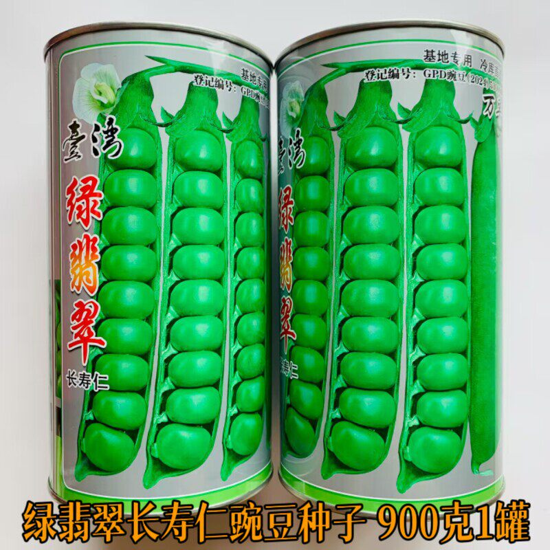 绿翡翠长寿仁豌豆种子春