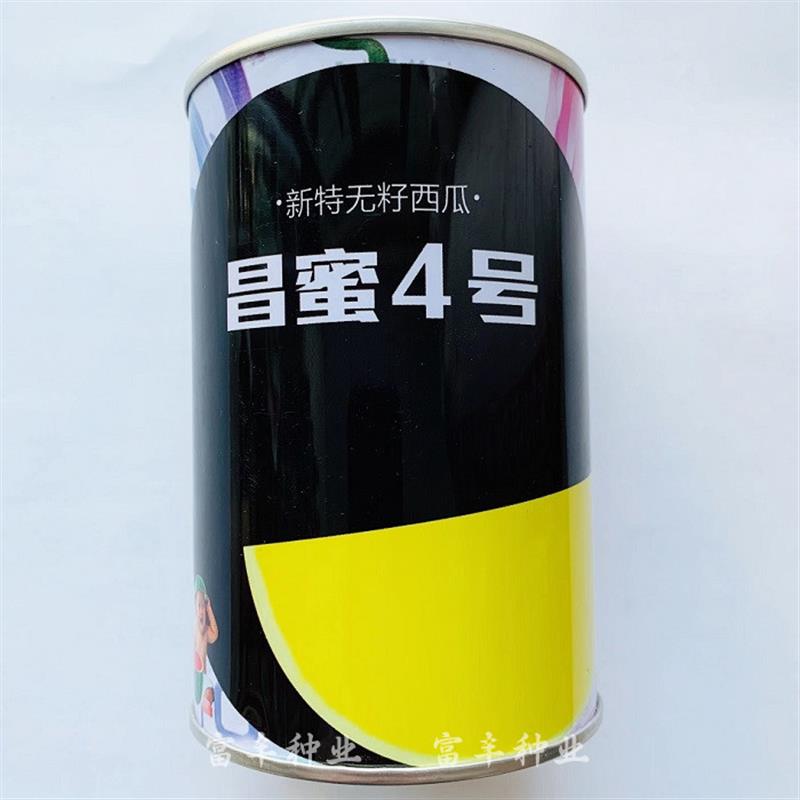 昌蜜4号无籽西瓜种子纯黑皮黄瓤无籽西瓜种籽圆形黄壤西瓜种籽