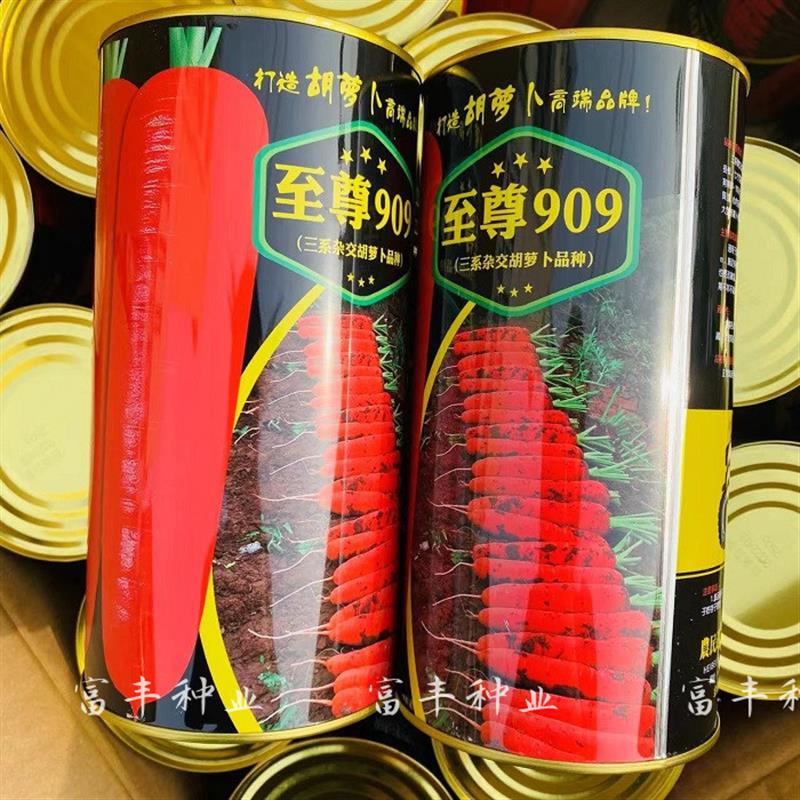红笋808至尊909长胡萝卜种籽高产三红七寸胡萝卜春秋季胡萝卜种子