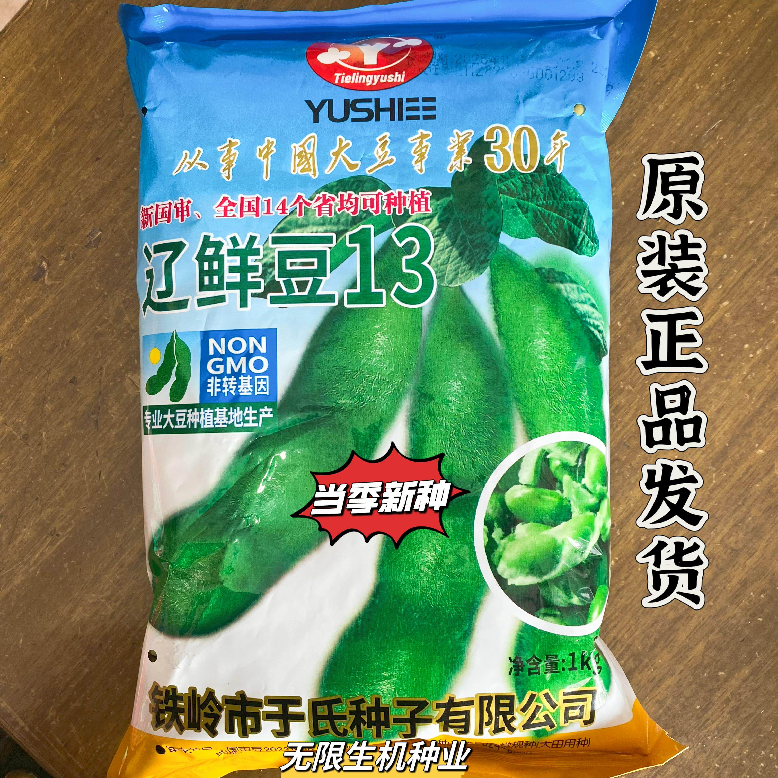 辽鲜豆13毛豆种子大青籽