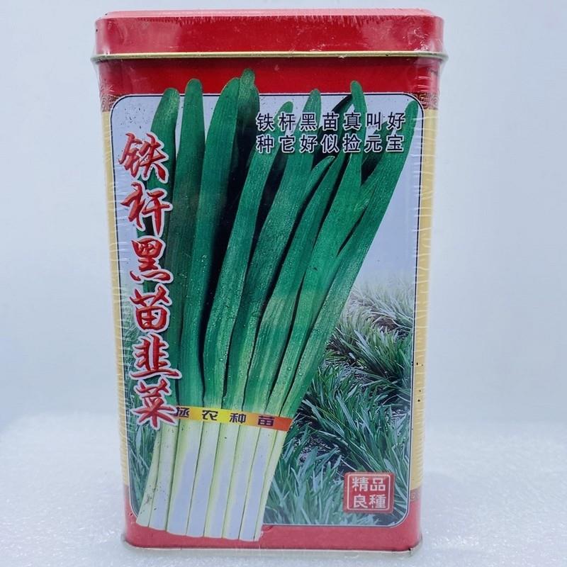 拯农铁杆黑苗韭菜种子种籽休眠韭菜抗寒抗病叶片宽大肥厚春秋高产