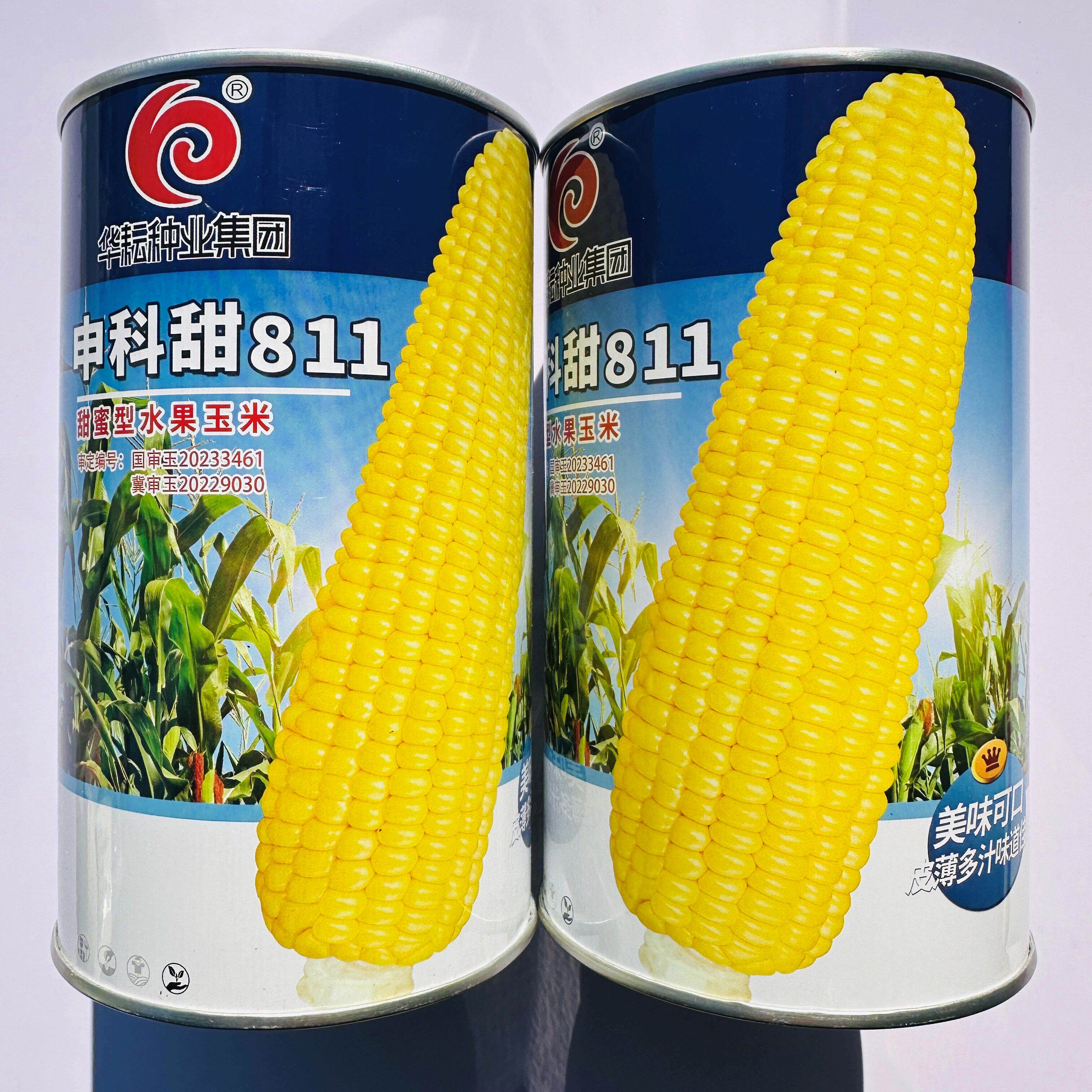 申科甜811水果玉米种子超