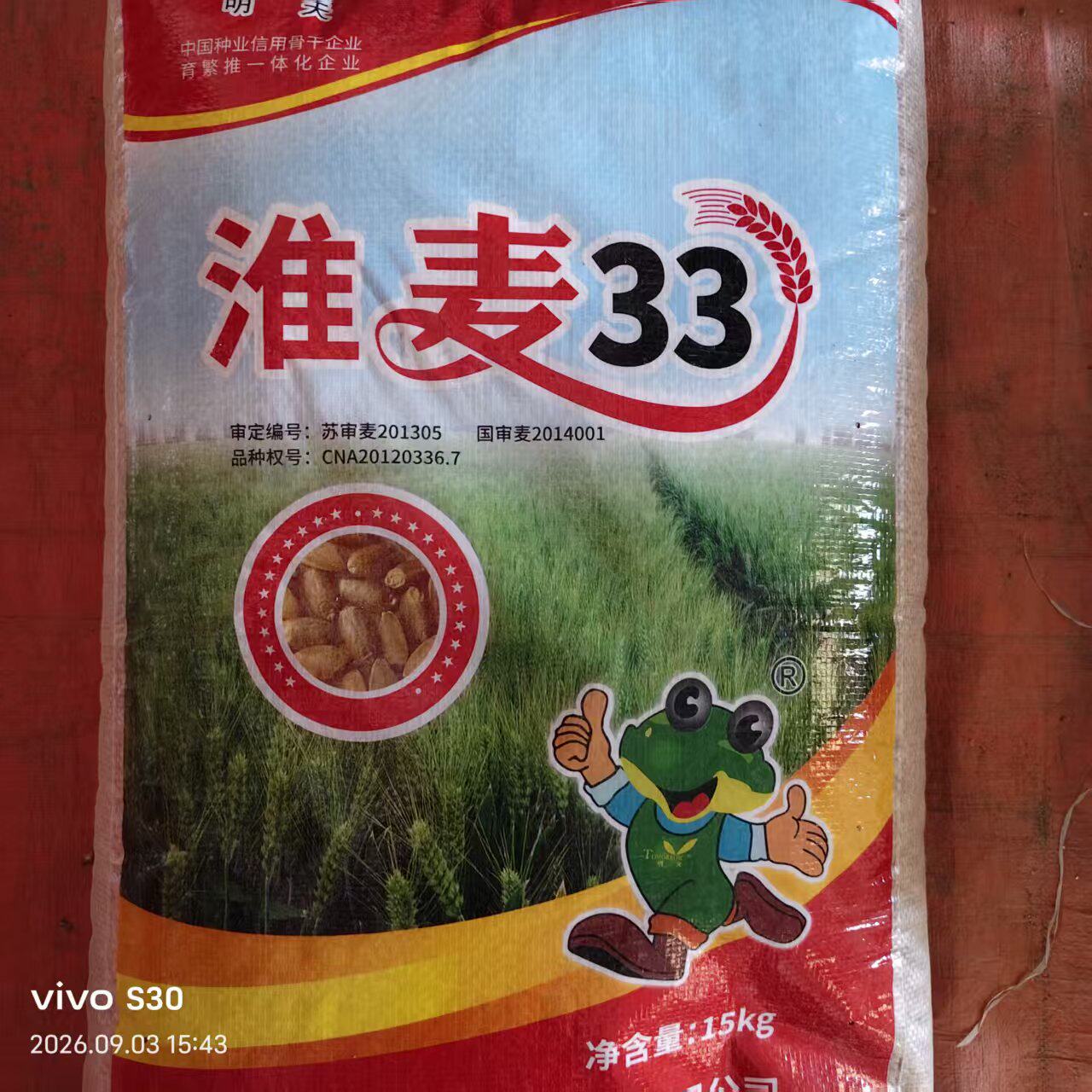 国审淮麦33小麦种子高产