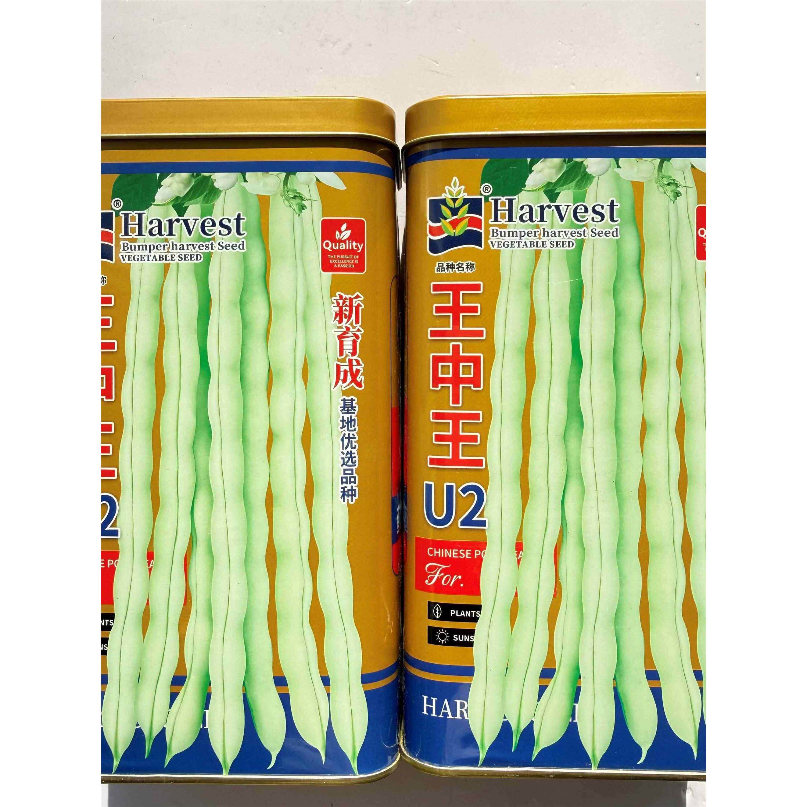王中王U2架豆种子基地丰