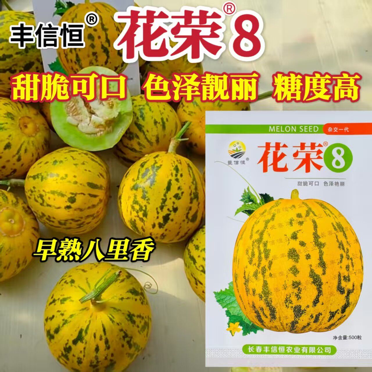花荣8甜瓜种子特皮绿肉高