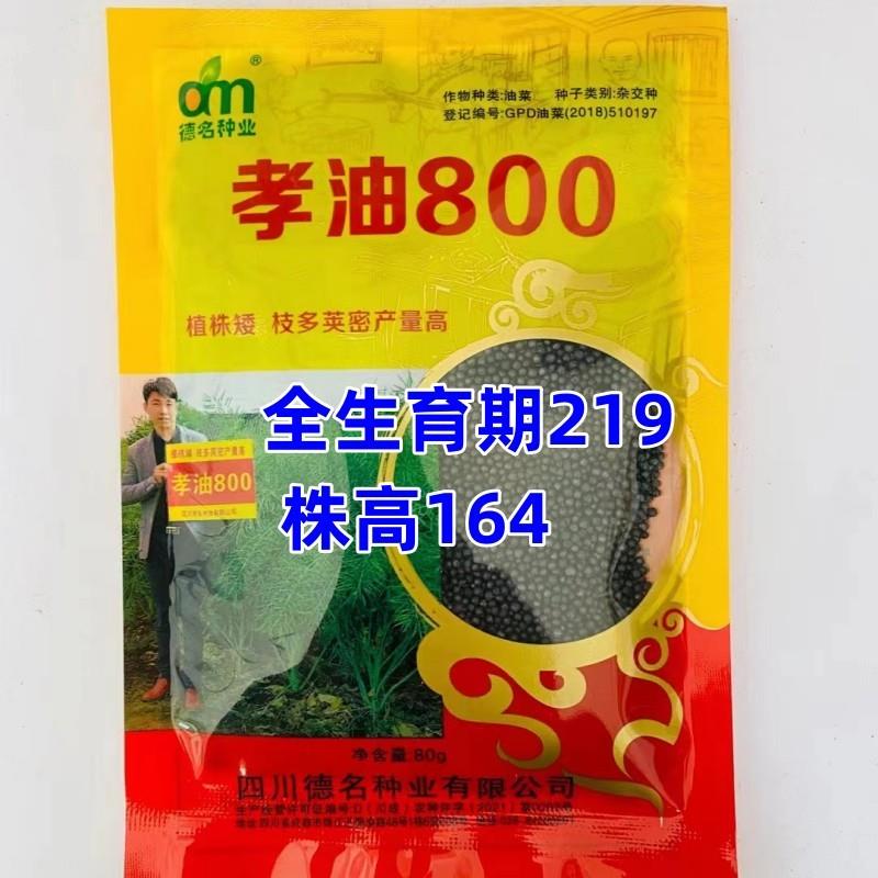 孝油800油菜种子杂交甘蓝型油菜籽矮杆枝多蜜荚高产高油大田秋播 鲜花速递/花卉仿真/绿植园艺 家庭园艺种子 原图主图