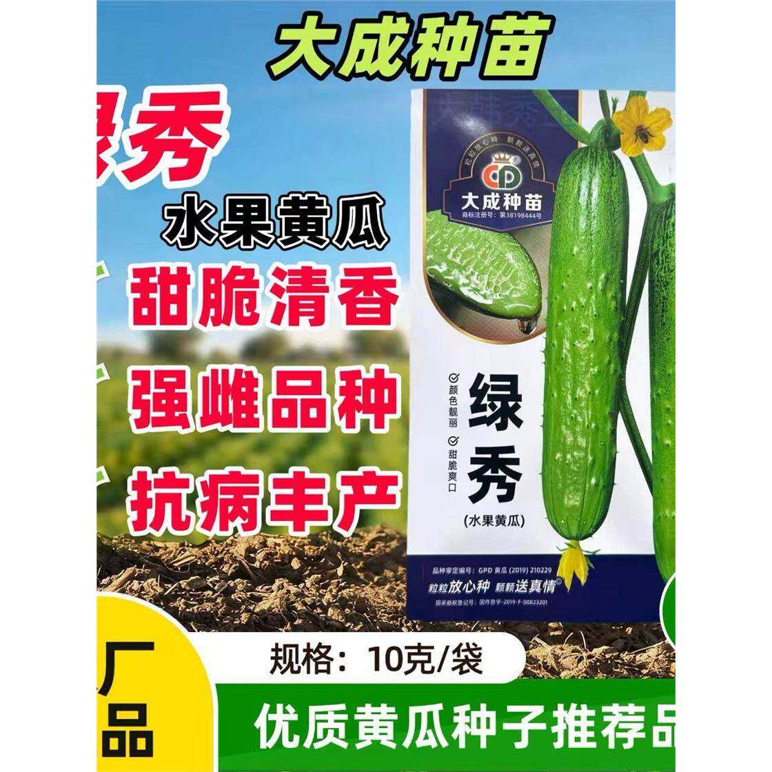 绿秀水果黄瓜种子强雌一