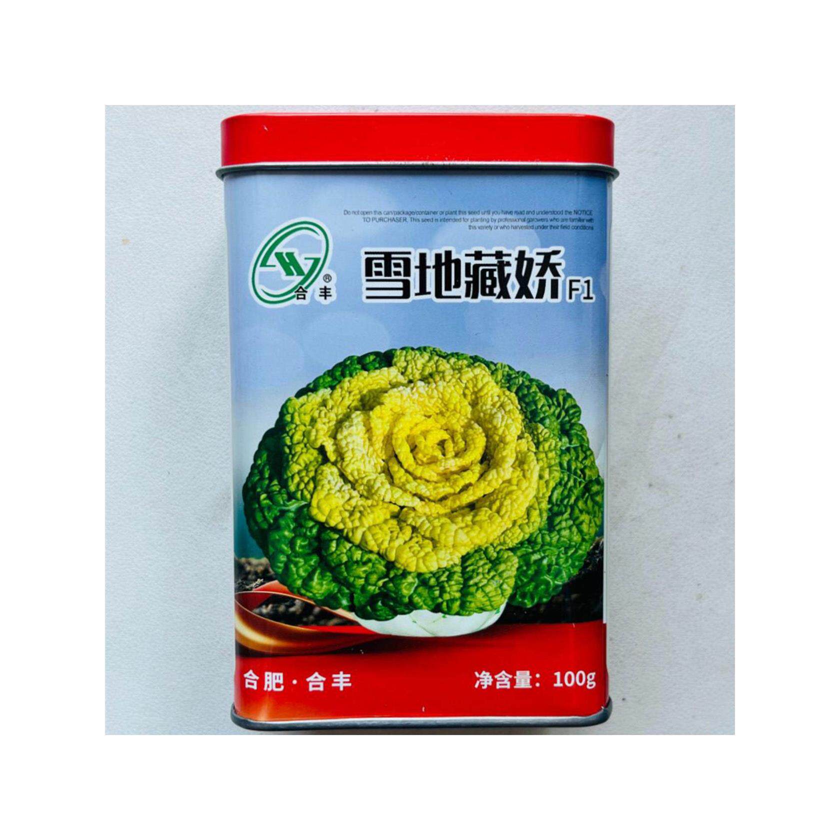 黄心种子雪地藏娇耐寒秋