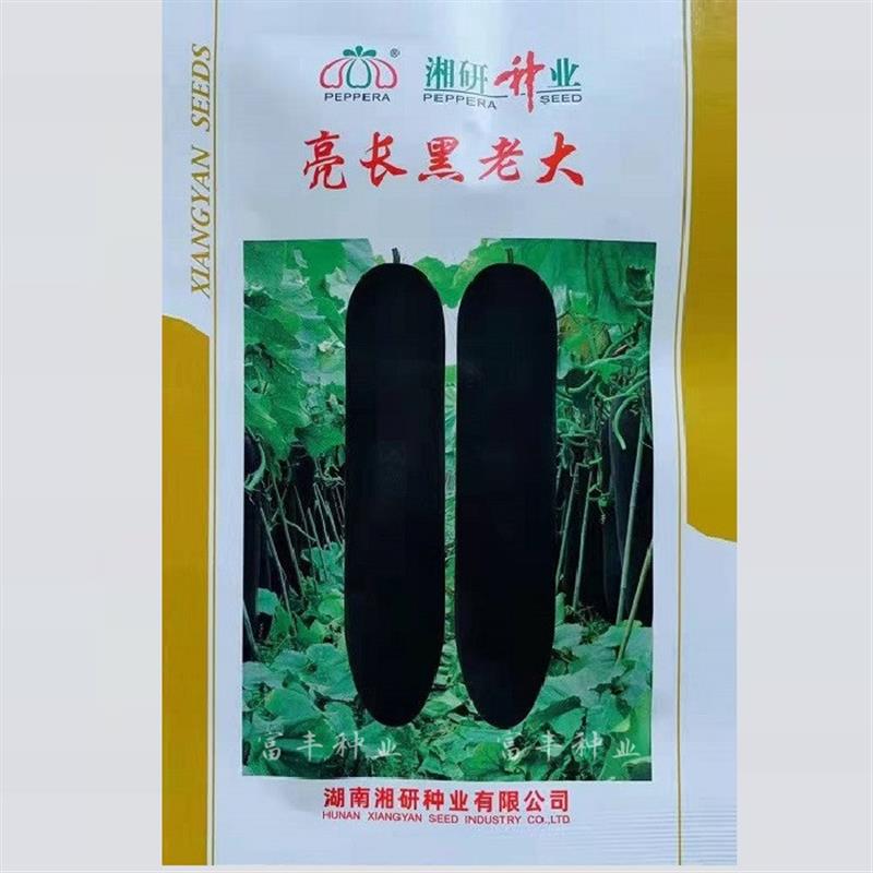 湘研黑皮冬瓜种子亮长黑老大长炮弹型冬瓜种子特大巨型冬瓜种籽
